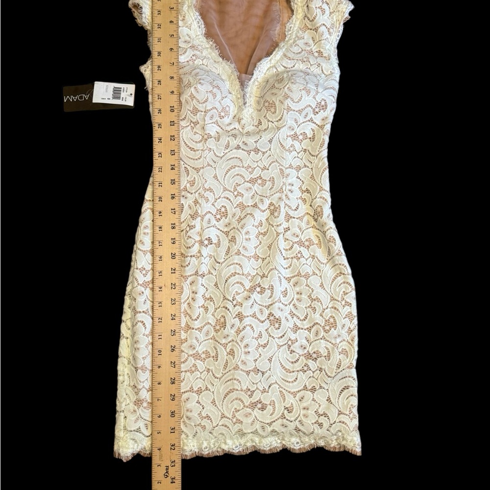 NWT Betsy and Adam Dress - Picture 13 of 13
